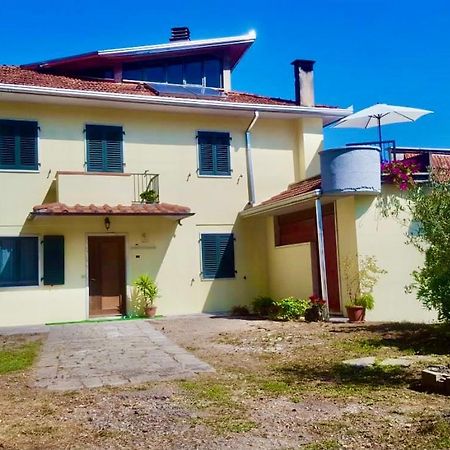 Affittacamere Le Apuane Mezzana  Esterno foto
