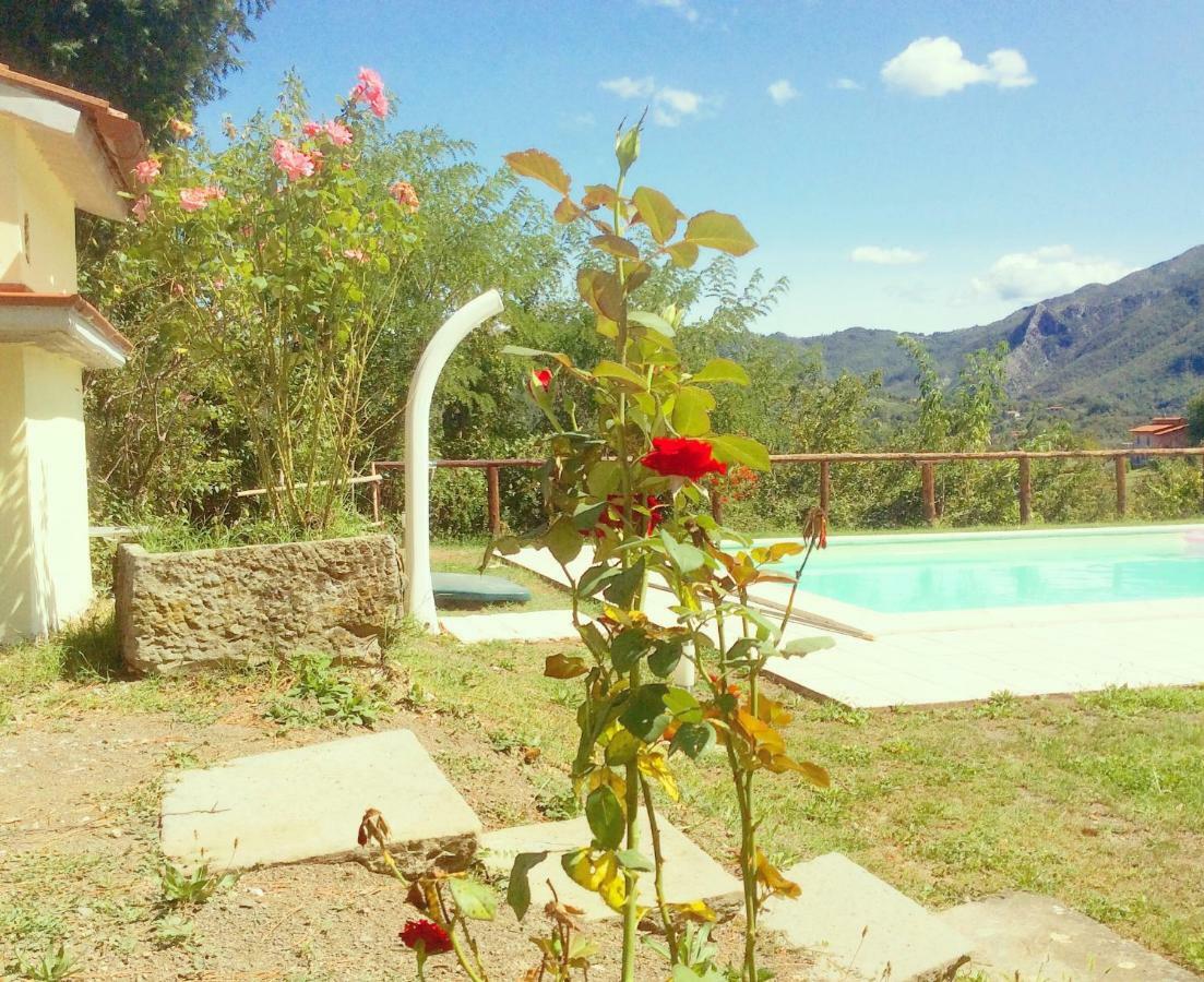 Affittacamere Le Apuane Mezzana  Esterno foto
